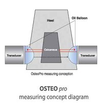 OSTEOpro measuring concept diagram — Heel, Calcaneus, Oil Balloon, Transducer